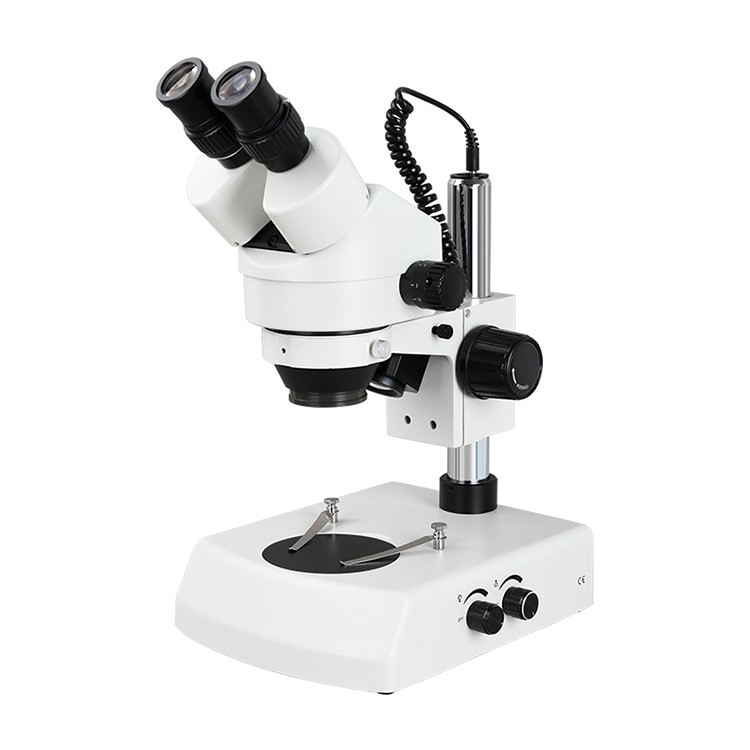 Microscopio binocular estéreo