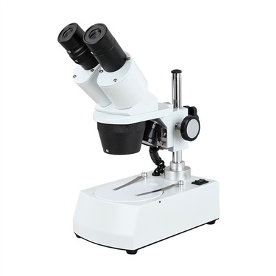 cómo funciona un microscopio estereoscópico